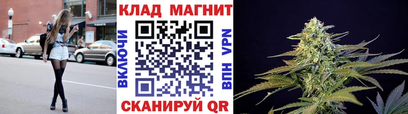 Где продают наркотики Гатчина СОЛЬ  МАРИХУАНА  Cocaine  АМФЕТАМИН  Гашиш  Меф мяу мяу 