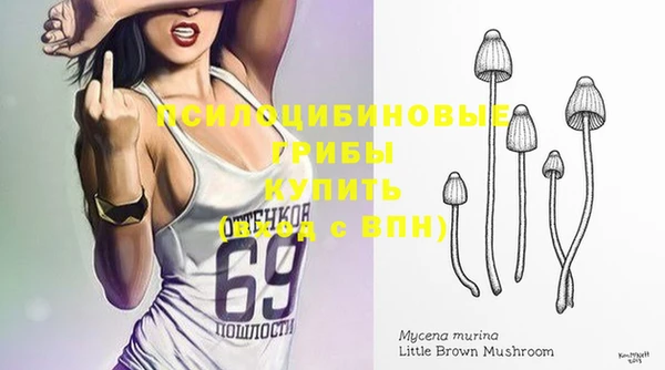 COCAINE Богданович