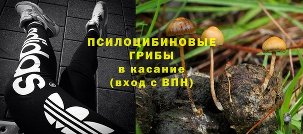 кристаллы Богородицк