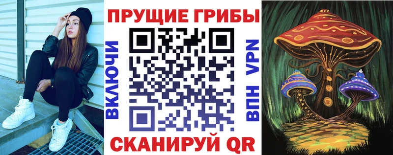 Галлюциногенные грибы мицелий  hydra ссылка  Гатчина  купить  