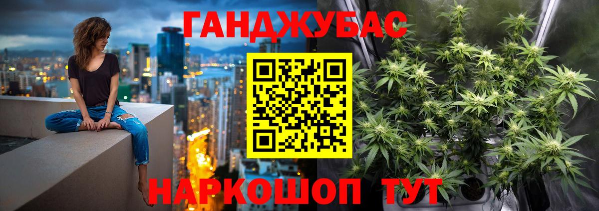 Конопля Amnesia  Каннабис индика  Вход с VPN  Гатчина 
